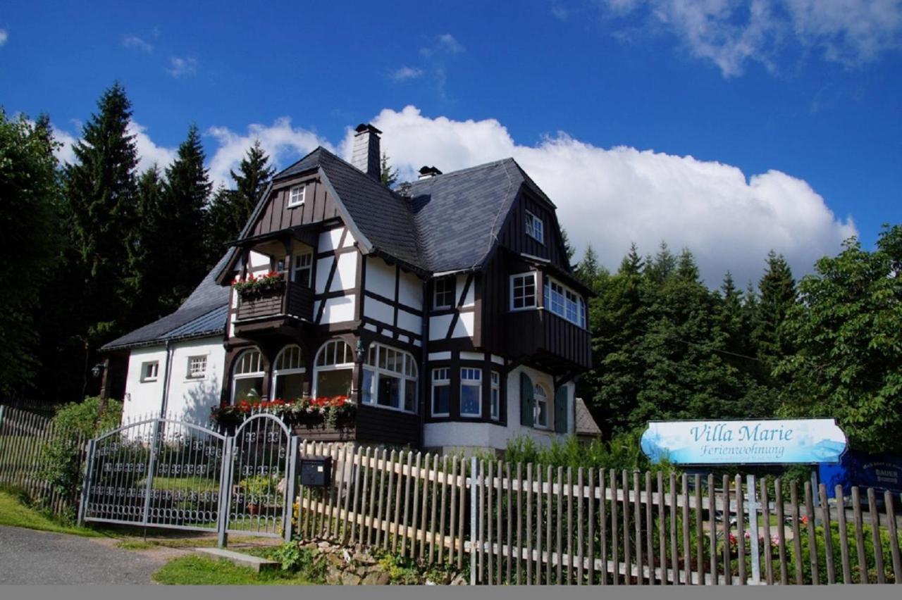 Villa Marie Ferienwohnungen Altenberg  Exterior foto