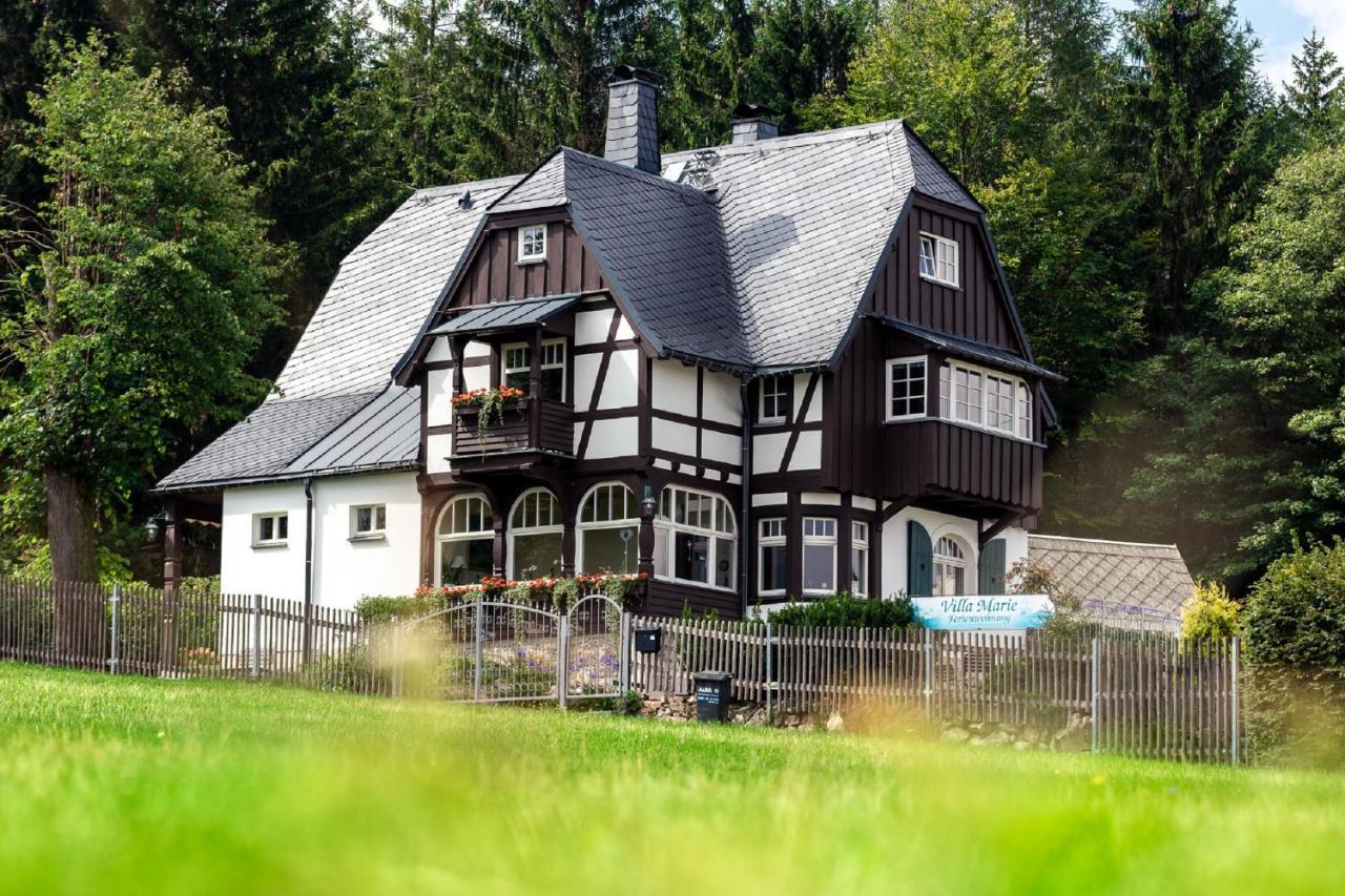 Villa Marie Ferienwohnungen Altenberg  Exterior foto
